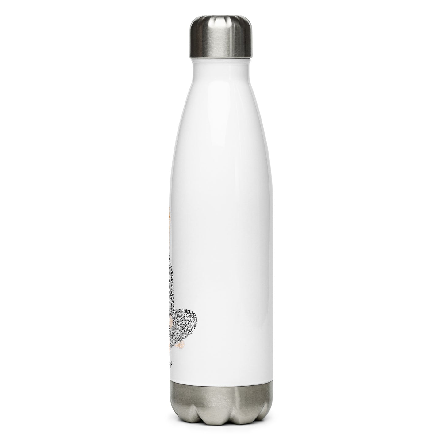 Hanumanji Stainless Steel Water Bottle